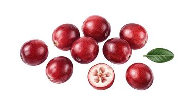 Cranberry